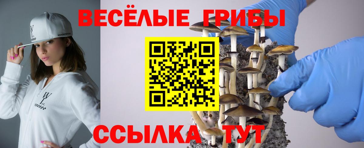 Псилоцибиновые грибы прущие грибы  Вход с VPN  Луховицы  Псилоцибиновые грибы GOLDEN TEACHER 